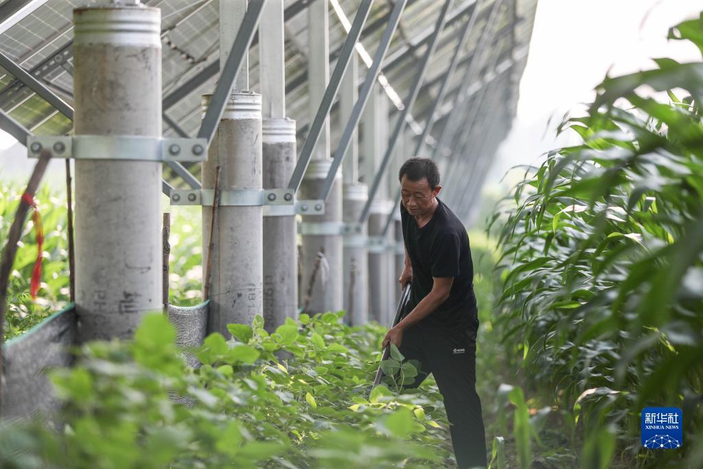 奥博赌址官方网站注册